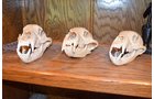 Property photo 48 - Personal Property Auction, Tractor & Implements, Cars, Lawn & Garden, Hunting & Fishing, Guns, Antiques & Collectibles, Household